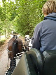 Photo n°26 de La Foucheraie à Cardroc (Centre de formation)