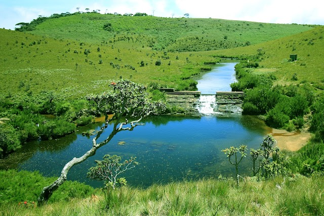 Horton Plains National Park