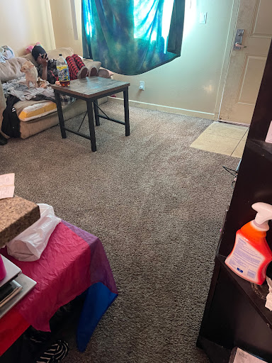 CarpetCleanersPlus - Visual