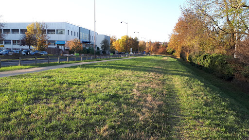 Gymnase du Bellay - Thumbnail