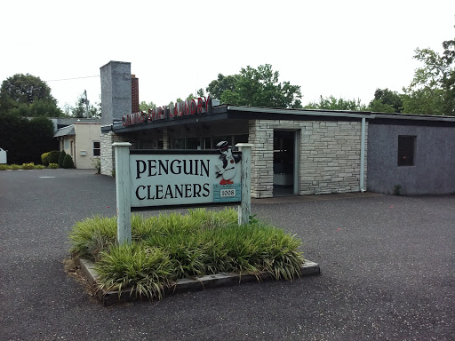 Penguin Cleaners