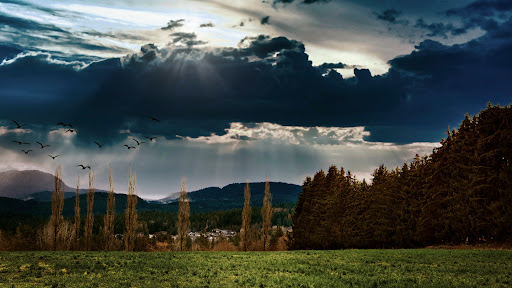 Benjamin Forbes Real Estate Services - Thumbnail