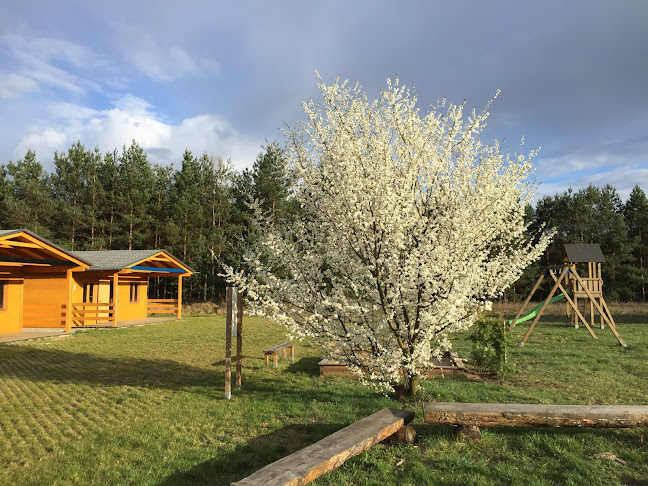 Anastazewo 23C, 62-436 Anastazewo