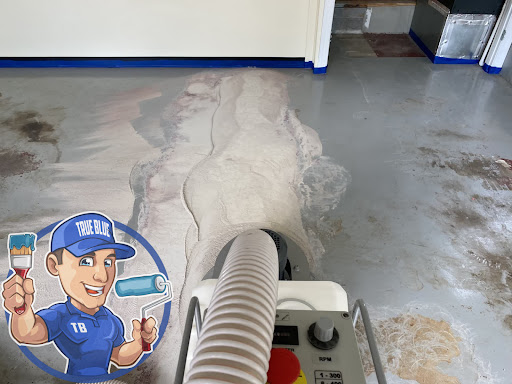 True Blue Pro Painters - Thumbnail