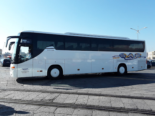 Autoservizi New Sae Noleggio Bus