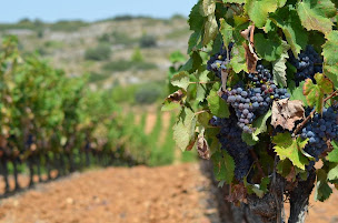 Photo n°10 de Rivesaltes Pneus Services à Rivesaltes (Magasin de pneus)