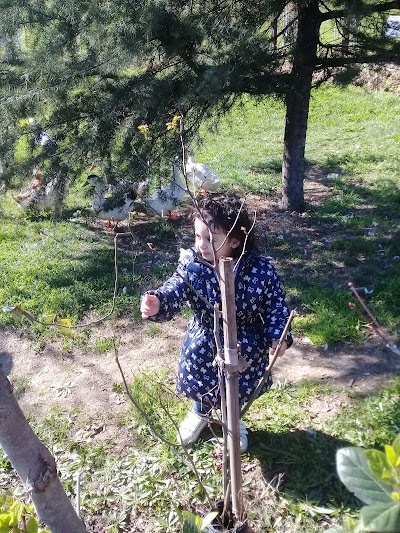 Photos of Dogubayazit Ilce Jandarma Komutanligi