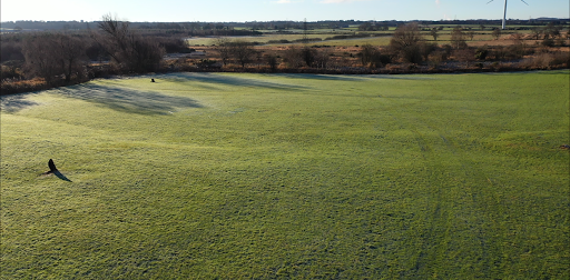 Dog Secure Exercise Area - Thumbnail