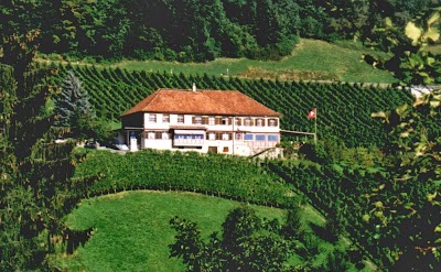 Photos of Speiserestaurant Maienhalde