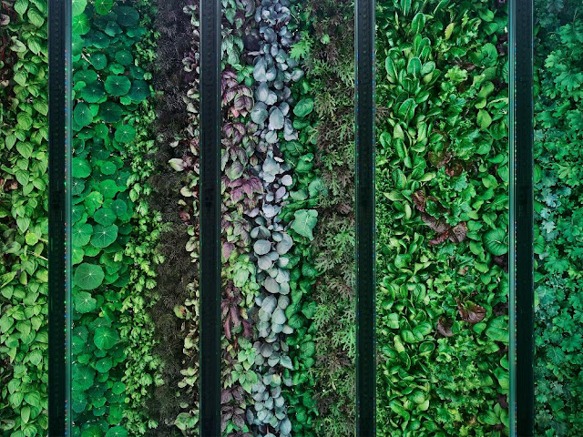 Plenty Unlimited Inc. by null