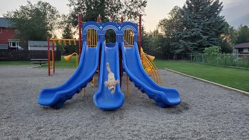 Morgans Park - Visual
