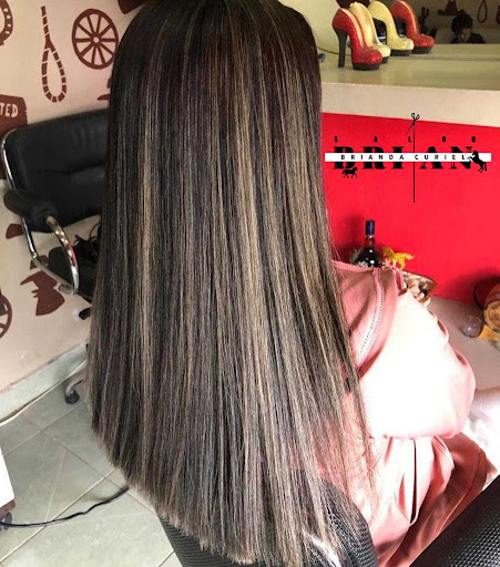 Salon Brian - Visual