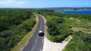Photo n°16 de Volkswagen Guadeloupe à Baie-Mahault (Atelier de réparation automobile)