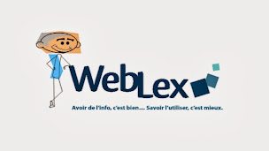 Photo n°1 de WebLex à Carquefou (Conseiller en gestion des affaires)