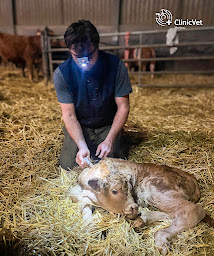 Photo n°44 de ClinicVet Vétérinaire de Bosc-Le-Hard à Bosc-le-Hard (Vétérinaire)