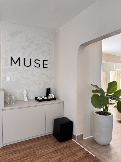 MUSE Vestidos