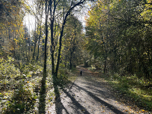 Wald Oberdürrbach - Thumbnail