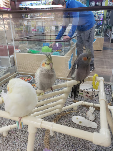Petland Dayton - Thumbnail