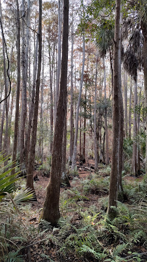 Town N Country Nature Preserve. - Thumbnail