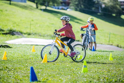 Mountainbike School and rental Gallery - Italy