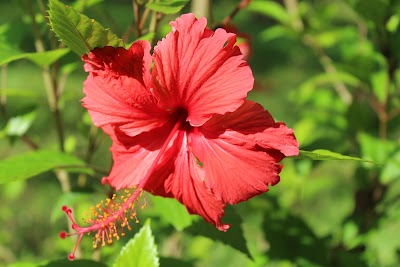 Photos of Funzi Island
