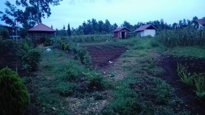Photos of Dream Angel Coffee Farm