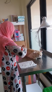 ALHUSNA CAT CARE (dokter Hewan Khusus kucing/rawat inap/Perawatan kucing), Author: ALHUSNA CAT CARE (dokter Hewan Khusus kucing/rawat inap/Perawatan kucing)