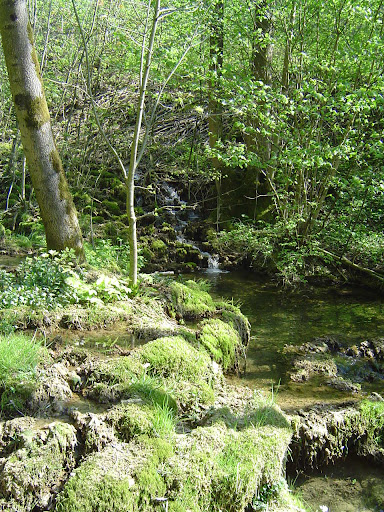 Kalktuffbach - Visual