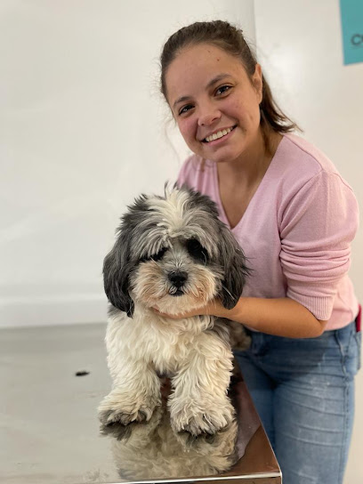 Clínica Veterinária - Dra. Juliana F. Bizarria