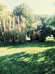 Photo n°61 de LE KATALPA à Comprégnac (Restaurant)