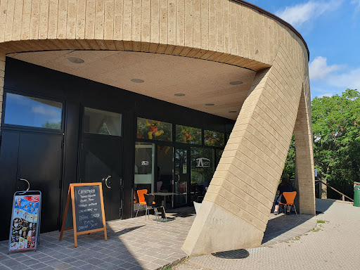 Tarots Cafe - Visual