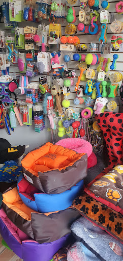 Dog Shop Estética Canina y Accesorios - Thumbnail