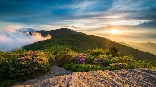 Berkshire Hathaway HomeServices Meadows Mountain Realty - Cashiers - Thumbnail