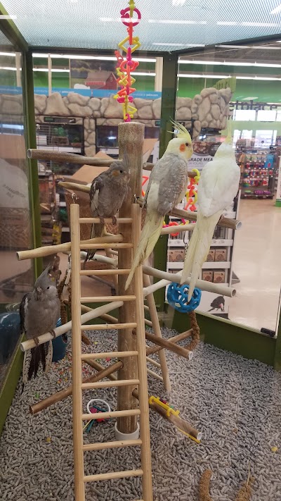 Petco