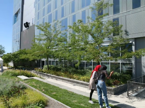 Cira Green by null