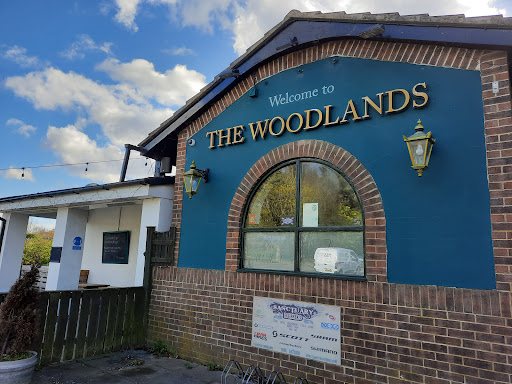 The “New” Woodlands Logo