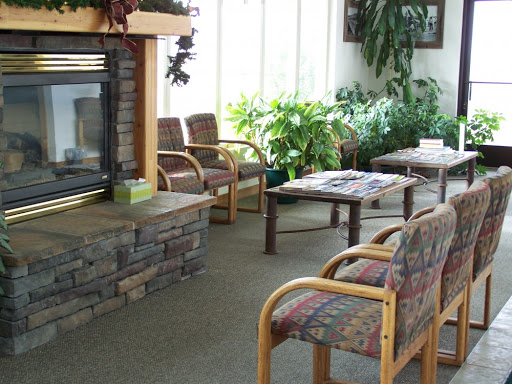 Pine Tree Chiropractic - Visual