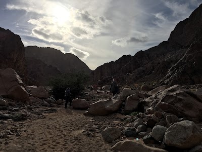 Photos of El Lewaa El Teby Pharmacy
