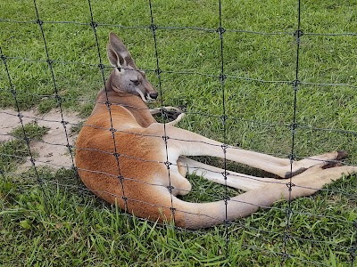 Trowbridge Creek Zoo