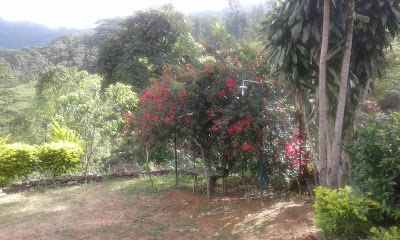 Photos of Katool Oya Farm Resort Holiday Bungalow