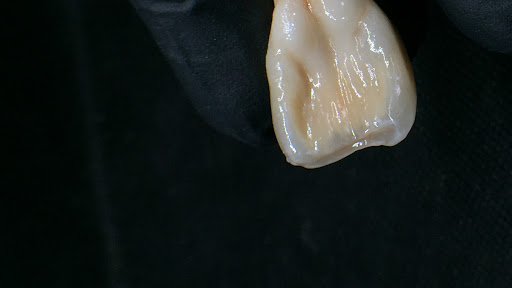 AS DENTAL STUDIO