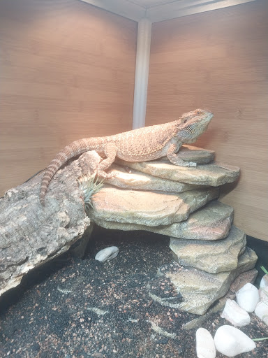 Oasis Small Animal and Exotics Veterinary Hospital - Thumbnail