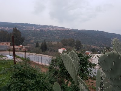 Photos of Caf&eacute; Medjdoub