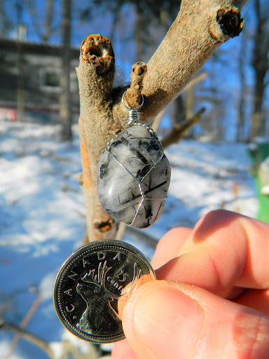Raven Into The Woods - Thumbnail