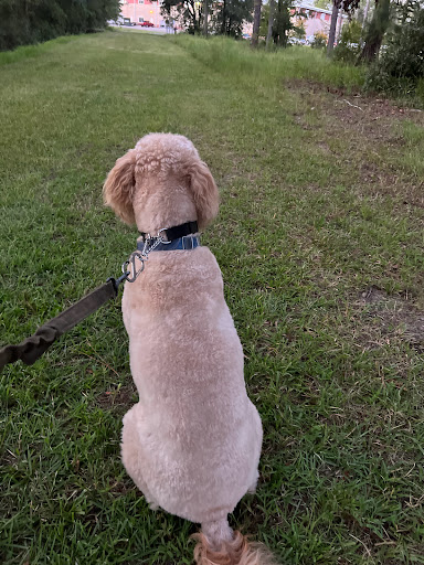 Long Beach Fitness Trail