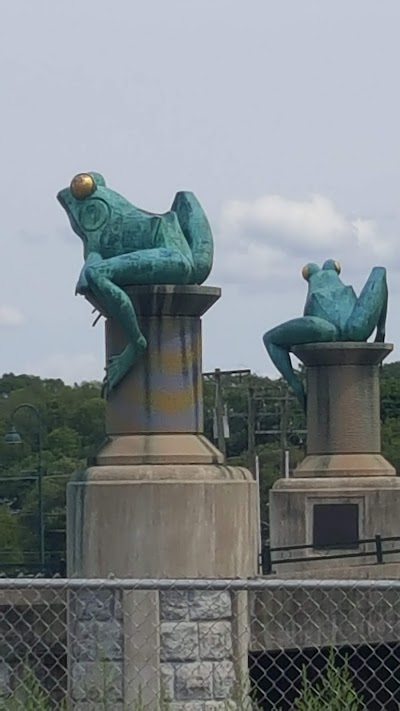 Frog Bridge