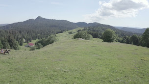 Photo n°2 de Ferme Equestre du Berbois à La Pesse (Éleveur de chevaux)