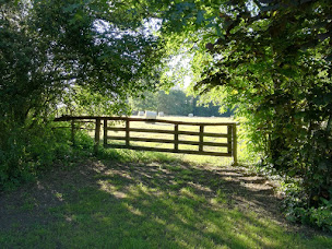Photo n°15 de Parc du Château du Martreil à Chemillé-en-Anjou (Lieu de mariage)