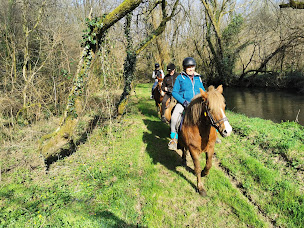 Photo n°5 de Domaine de Kerolivier - Club FFE à Plogonnec (Pension pour chevaux)