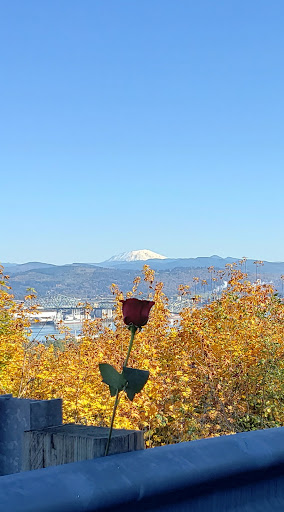 Rainier View Point - Visual